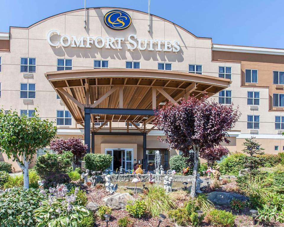 Comfort Airport Seattle Hotel 3*