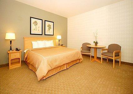 Comfort Airport Seattle Hotel Tukwila